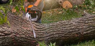  , OK Tree Services Pros